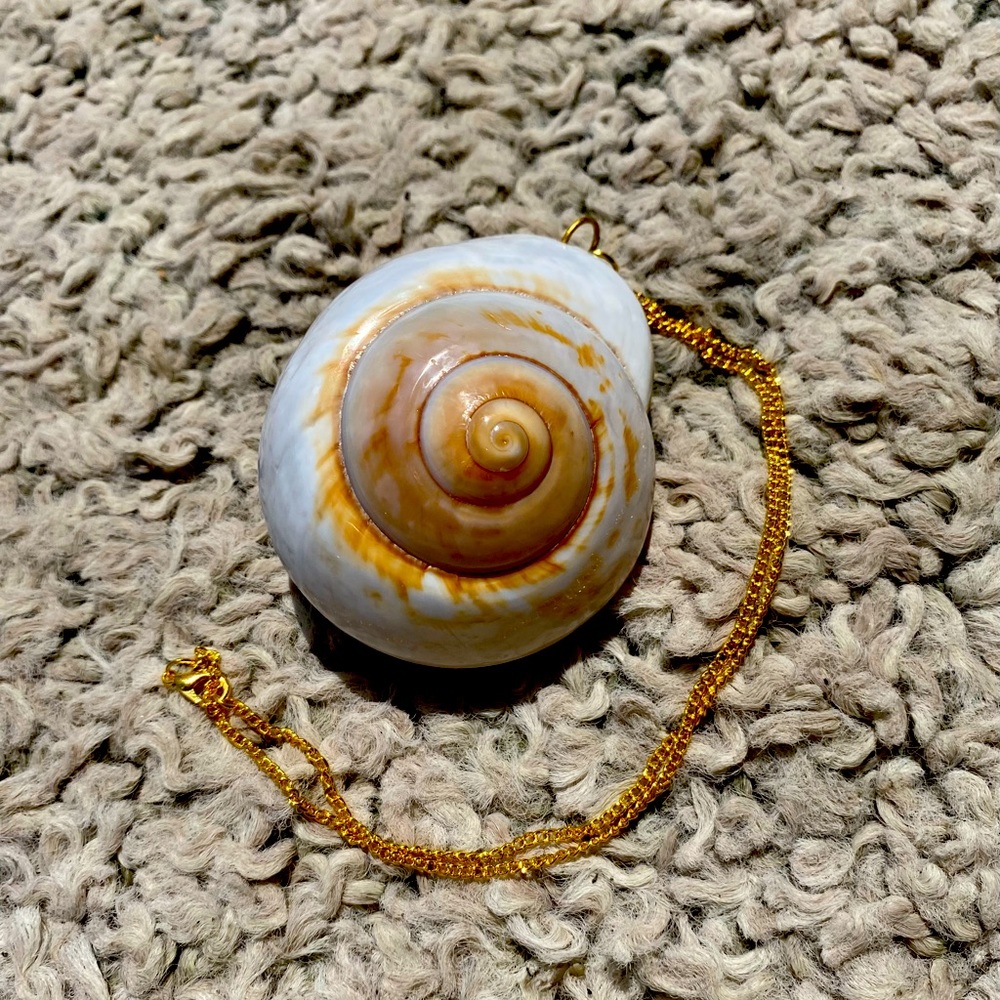 “Shell Shocked” Gold Necklace